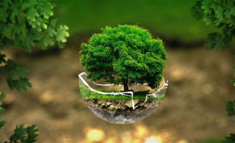 26 вересня – Всесвітній день здоров’я довкілля та День народження грамофону: свята, події, прикмети