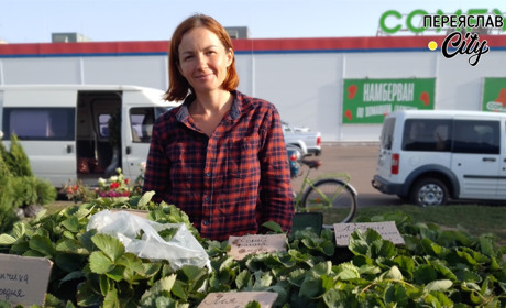 Світлана Іщенко закінчила аспірантуру, але вирішила вирощувати на продаж саджанці полуниці та троянд