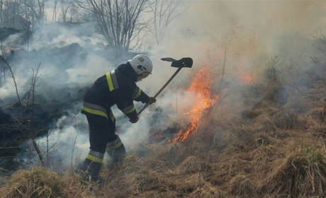 На Городоччині знову горів сухостій: що відомо про пожежу