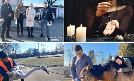 У сусідів:дослідження судин, зникла неповнолітня, зняття порчі за 95 тис, мертві лебеді, новий центр