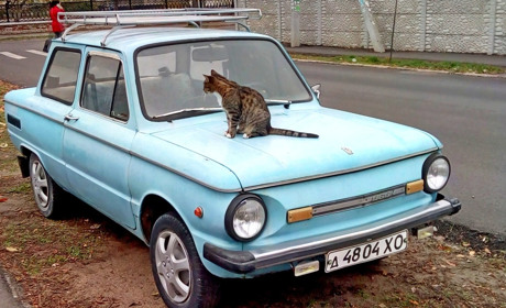 Вихідні у травні 2021 року