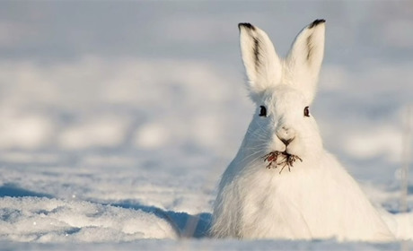 Морози послабшають: погода на Сумщині та в Україні найближчими днями