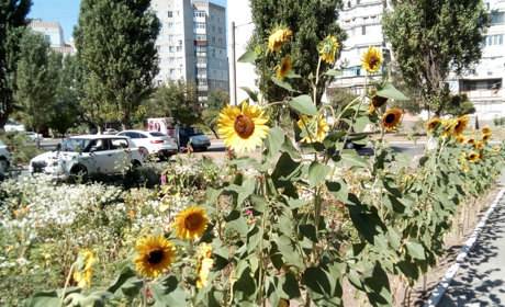 Коли прийде похолодання