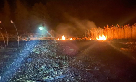 На Городоччині за два дні вигоріло 600 кв. м сухостою: пожежі сталися за межами Купина та Папірні