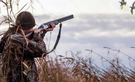 Окупанти людських смітників. «Відстрілювати хижих птахів мають мисливці, а не всі підряд», – ОДА