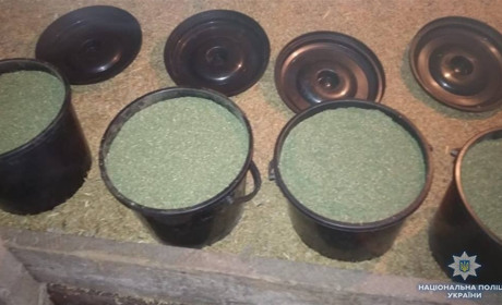 У двох сватівчан знайшли 11 кілограмів коноплі і зброю