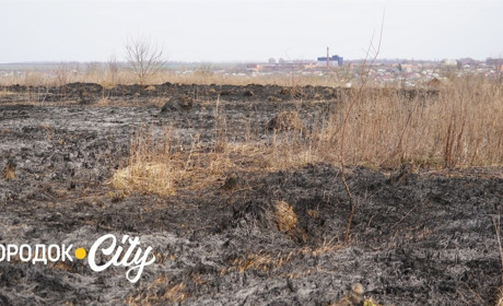 Чотири пожежі за тиждень. Городоцькі рятувальники закликають не спалювати суху рослинність