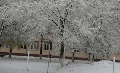 У Біляївці через негоду дитячі заклади працюватимуть дистанційно, поліклініка не працюватиме