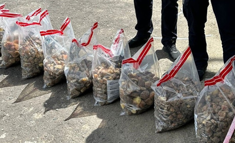 Вивозив з області 85 кілограмів бурштину: жителя Сарненського району затримали