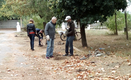 Дерева і кущі замість паркану
