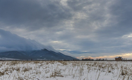 Увесь наступний тиждень обіцяє бути в Україні теплим та вологим: що прогнозують синоптики
