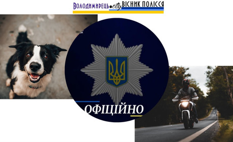 В Новорічиці на Зарічненщині мотоцикліст катував собаку