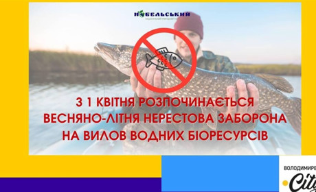 З першого квітня ловити рибу заборонено - вона йде на нерест