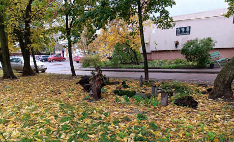 Бабине літо повертається: коли в Україні значно потеплішає