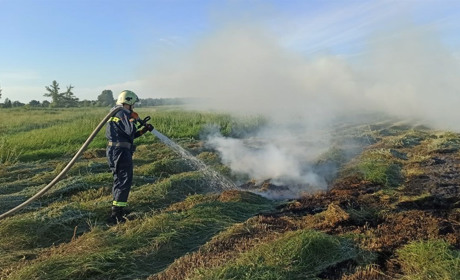 На Переяславщині горіло пів гектара сінокосу: рятувальники гасили вогонь та визволяли свою техніку