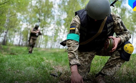 13 серпня: на Чернігівщині жінка пішла до лісу збирати гриби і підірвалася на розтяжці