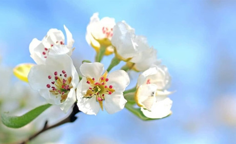Березень піде з невеликими дощами, квітень почнеться грозами: прогноз погоди
