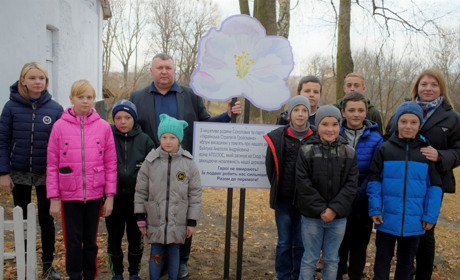 Біля шкіл висадили яблуневі сади в пам’ять Героїв України: відео