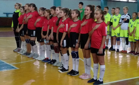 Попаснянки перемогли на чемпіонаті Луганщини з гандболу