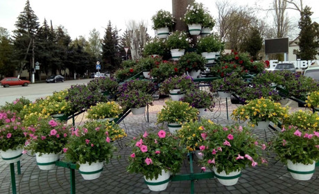 У Біляївку повернулася квіткова клумба. Фото