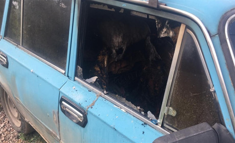 В Нерубайському  чоловік підпалив машину односельця: він говорить, що зробив це просто так