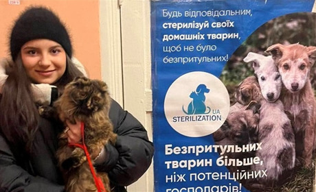 Програма пільгової стерилізації тварин у Звягелі: перші результати та плани на майбутнє