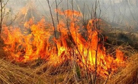 У Кременці горіла суха трава та сміття