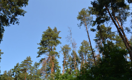 Щоденний дайджест від Золотоноша.City: зустрічаємо новий день – 31 серпня 2021 року