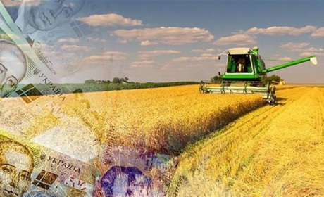 Аграріїв Великобурлуцької громади запрошують взяти участь у Програмі підтримки