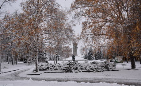 Щоденний дайджест від Золотоноша.City: зустрічаємо новий день – 11 грудня 2021 року