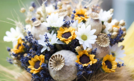 14 серпня святкуємо Маковія: традиції і прикмети Медового спаса