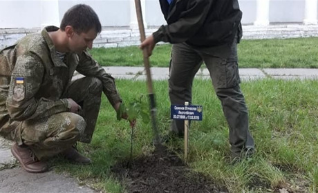 Висадили алею дубів на честь Героїв