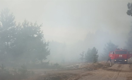 У Сарненському районі за добу горів майже гектар сміттєзвалищ