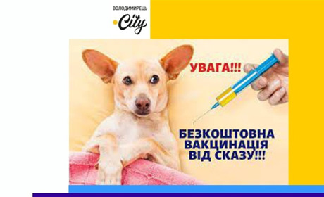 У Володимирці будуть вакцинувати тварин від сказу. Є графік.