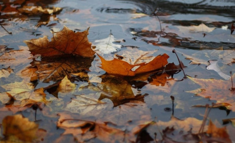Якою буде погода на Сумщині та в Україні на початку наступного тижня: прогноз синоптиків
