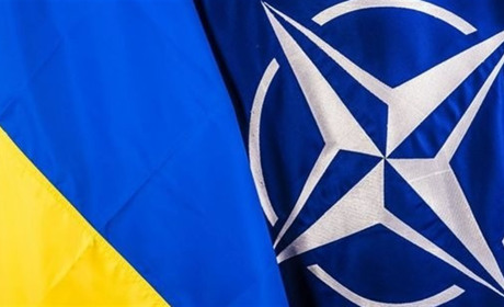 «Хай би приходили і дали жару». Як НАТО може захистити Україну, коли Росія готує напад