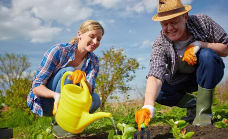 Посівний календар на травень 2026 року: сприятливі дні для городника та садівника