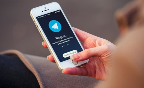 В Україні у Telegram запрацював чат-бот по місцевих виборах 2020: що там можуть дізнатися сватівчани