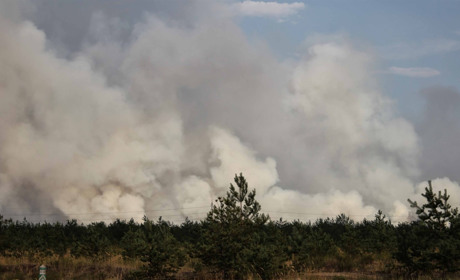 У соцмережах з’явилося відео пожежі у лісах Новоайдарського району з безпілотника