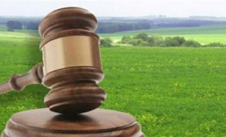 На Житомирщині підозрюють двох державних реєстраторів у незаконному вибутті 1170 га лісового фонду