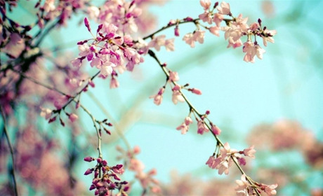 Яку погоду нам прогнозують синоптики у найближчі дні?