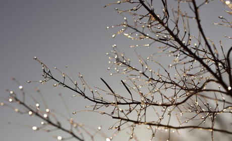 Якої погоди очікувати сватівчанам і жителям району з 17 по 23 лютого 2020: прогноз на тиждень