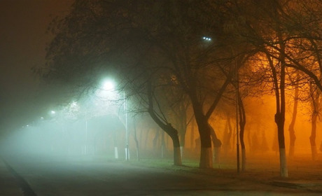 Туманно та без опадів: що прогнозують синоптики на Сумщині та в Україні найближчими вихідними