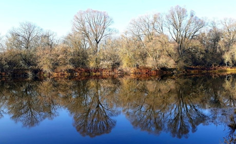 Дорогий улов: Інспектор попередив про штрафи до 5 тисяч гривень за одну рибину під час нересту