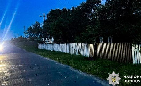 У Рокитнівській громаді судитимуть водія, який збив дворічного хлопчика