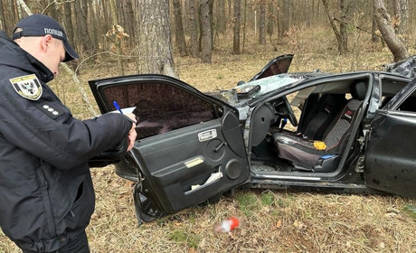 У сусідньому районі дерево впало на автівку і залишило дитину сиротою