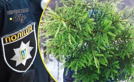 На Переяславщині з подвірʼя вкрали ялинку, а в лісі зрубали вісім сосен: хроніка поліції 9 грудня