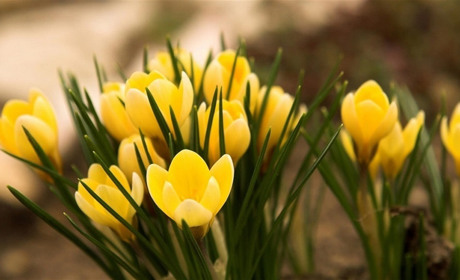 Как провести в Мелитополе выходные 9-10 февраля  