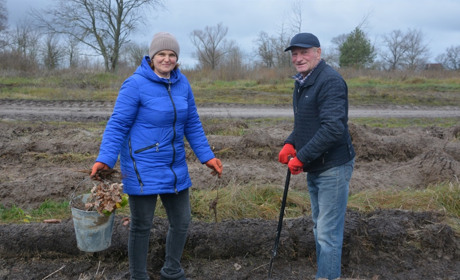 У Студениківській громаді завдяки благодійникам висадили нову лісосмугу довжиною 400 метрів