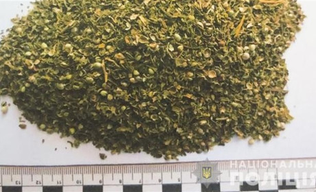 Поліцейські задокументували незаконне зберігання наркотиків у жителя села Бурдей